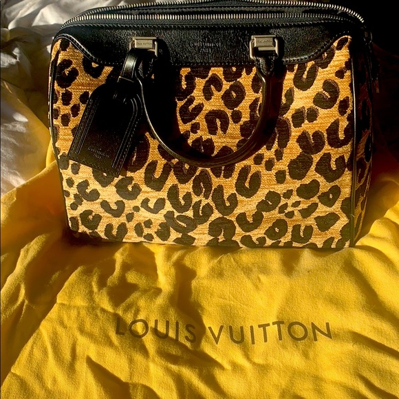 Louis Vuitton Lim. Edition Leopard Carpet Handbag - Picture 1 of 8